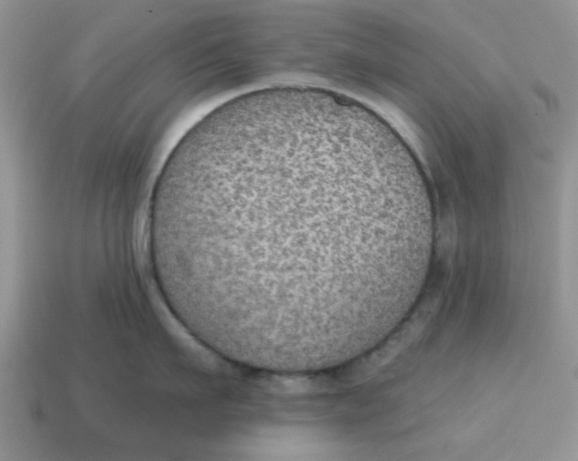 X0000114570911200911091213