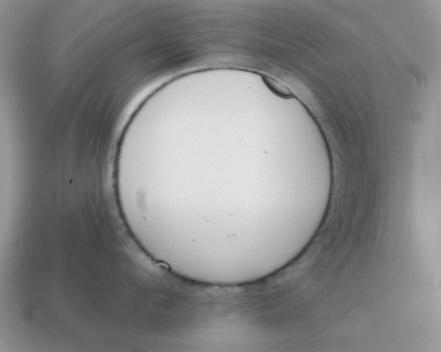 X0000114570912200911091213