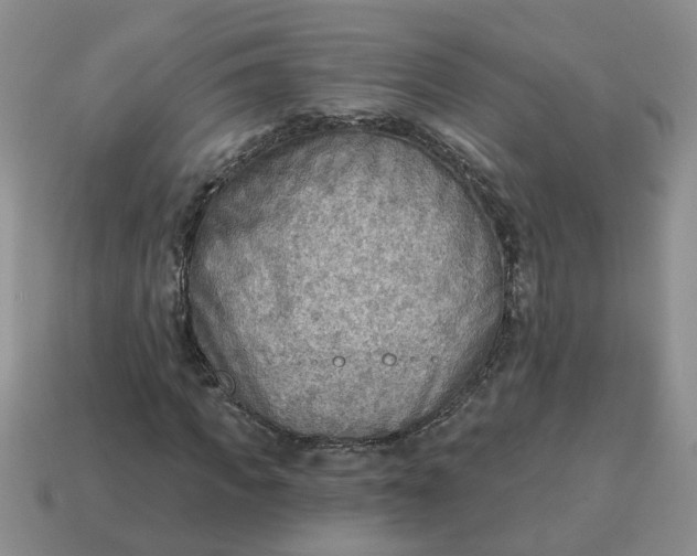 X0000114570917200911091212