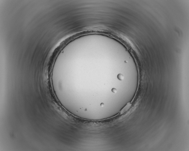 X0000114570923200911091212