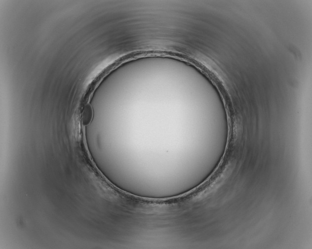 X0000114570925200911091212