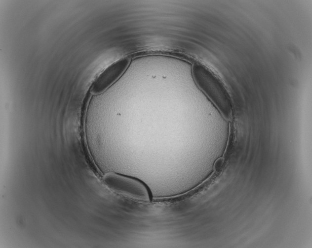 X0000114570930200911091213