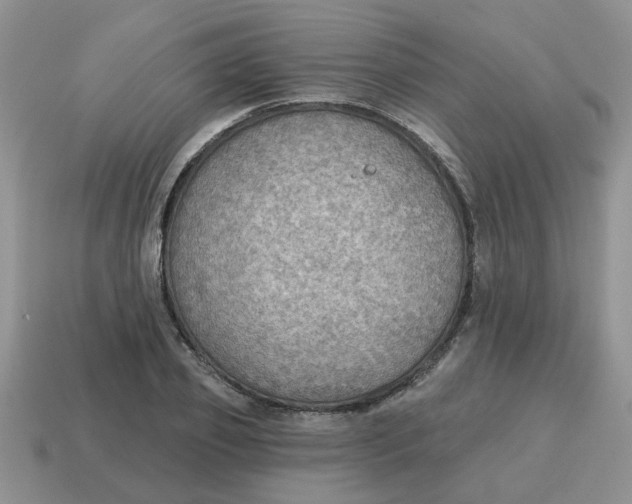 X0000114570933200911091213