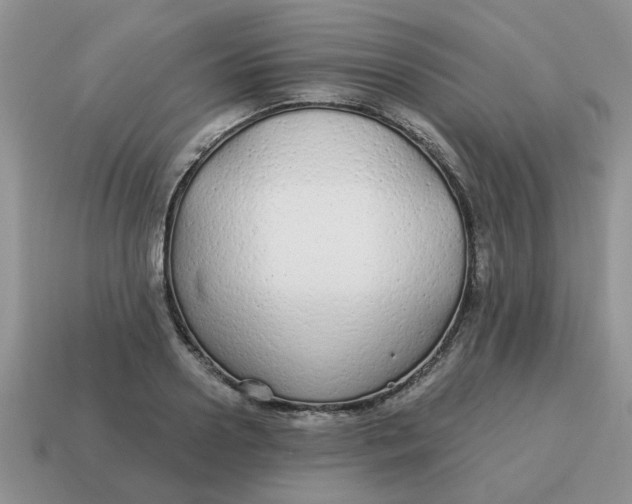 X0000114570938200911091213