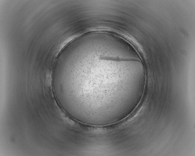 X0000114570945200911091213