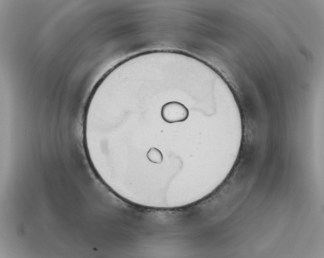 X0000114570950200911091213