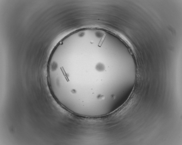 X0000114570951200911091213