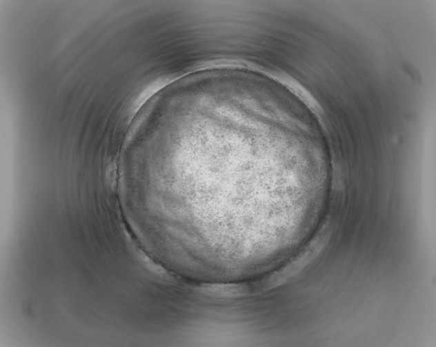 X0000114570953200911091213