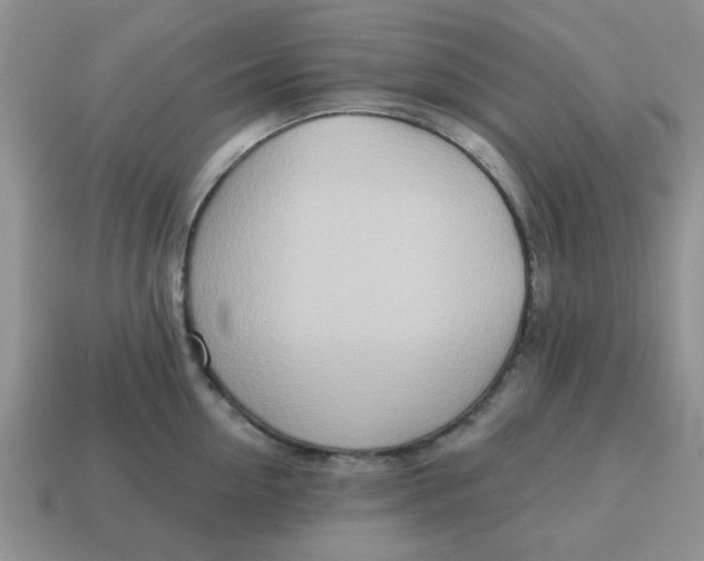 X0000114570954200911091213