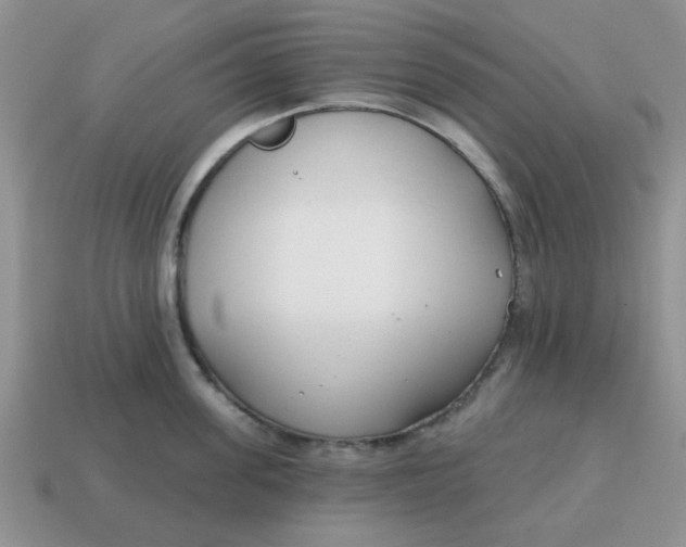 X0000114570955200911091213