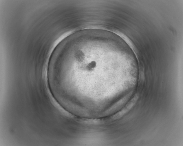 X0000114570957200911091213