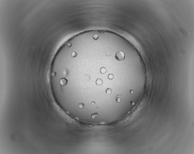 X0000114570958200911091213