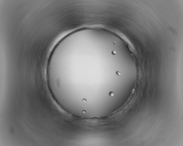 X0000114570959200911091213