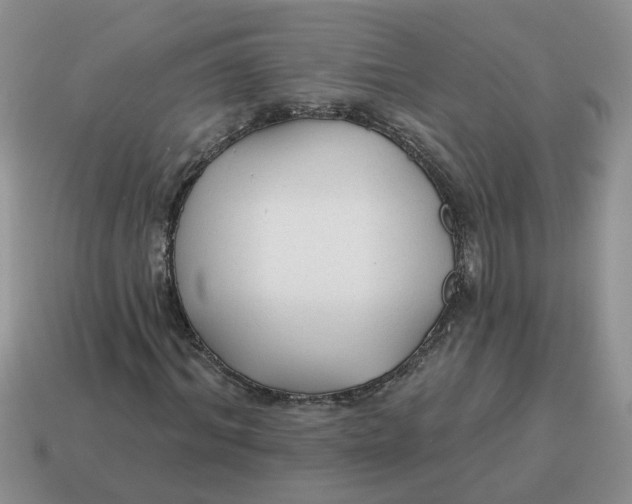 X0000114570964200911091212