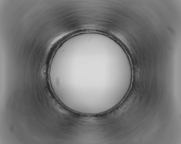 X0000114570971200911091212