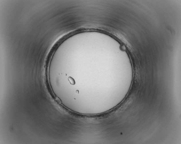 X0000114570976200911091212