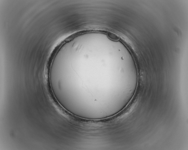 X0000114570981200911091212