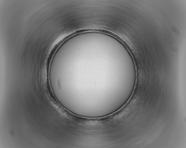 X0000114570982200911091212