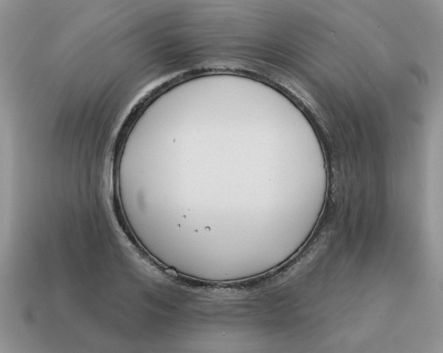 X0000114570984200911091212