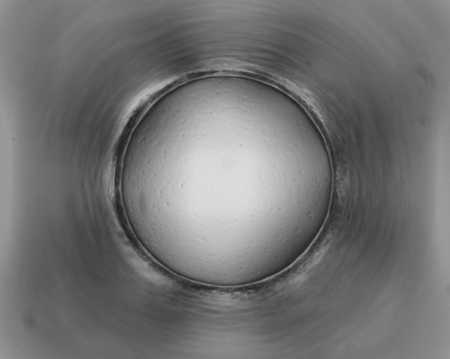 X0000114570987200911091212