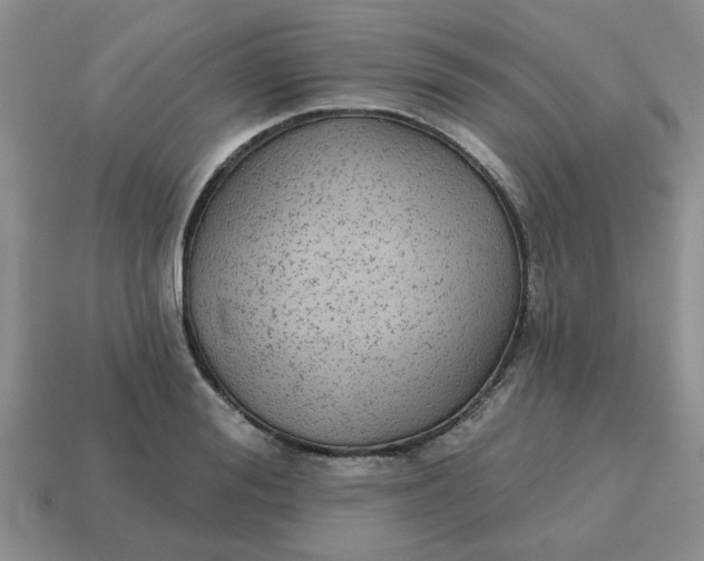 X0000114570988200911091212