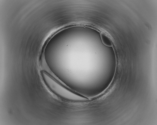 X0000114570989200911091212