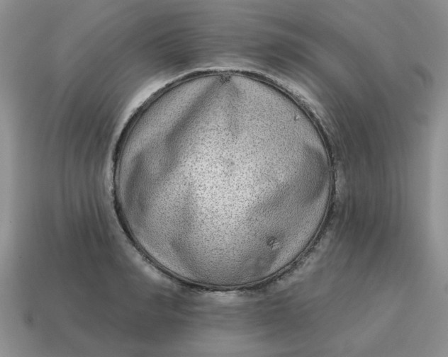 X0000114570990200911091212