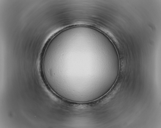 X0000114570991200911091212