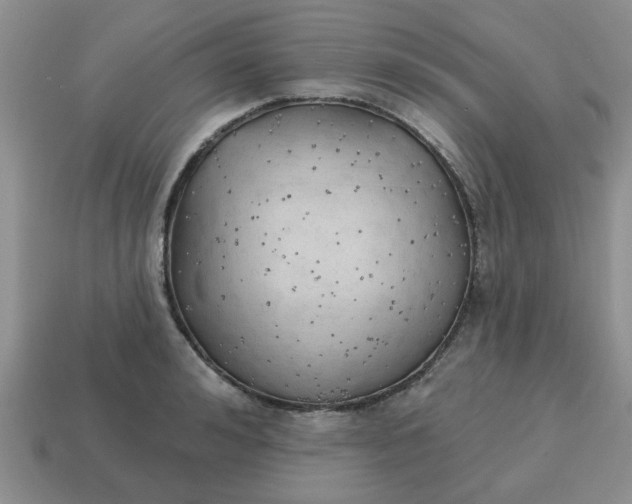 X0000114570992200911091212