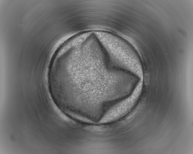 X0000114570995200911091212