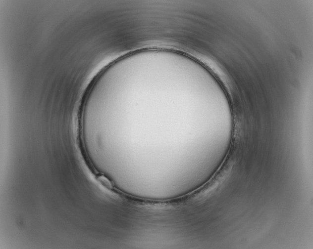 X0000114570999200911091212