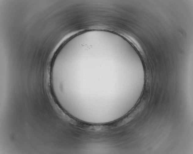 X0000114571000200911091212