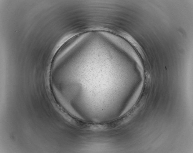 X0000114571002200911091212