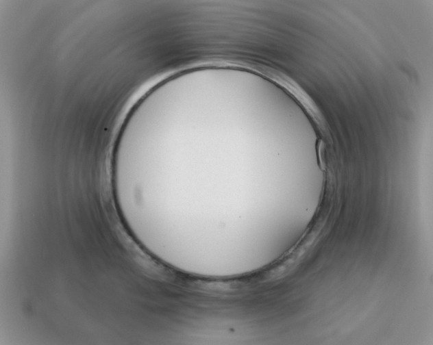 X0000114571004200911091212