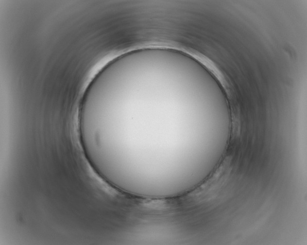 X0000114571006200911091212