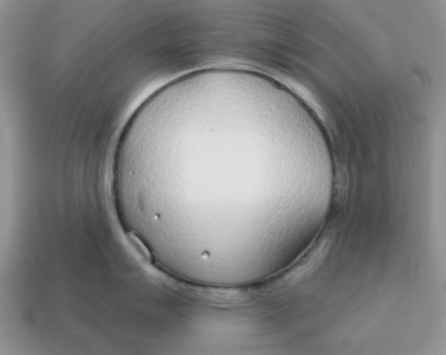 X0000114571007200911091212