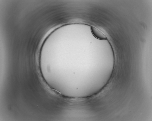 X0000114571008200911091212