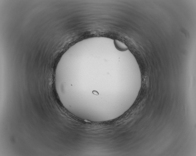 X0000114571012200911091211