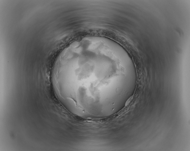 X0000114571013200911091211