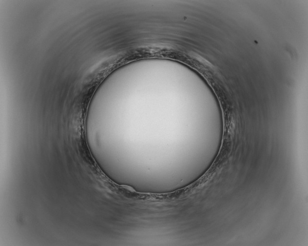 X0000114571014200911091211