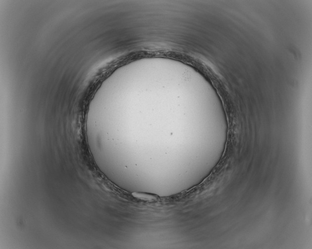 X0000114571016200911091211