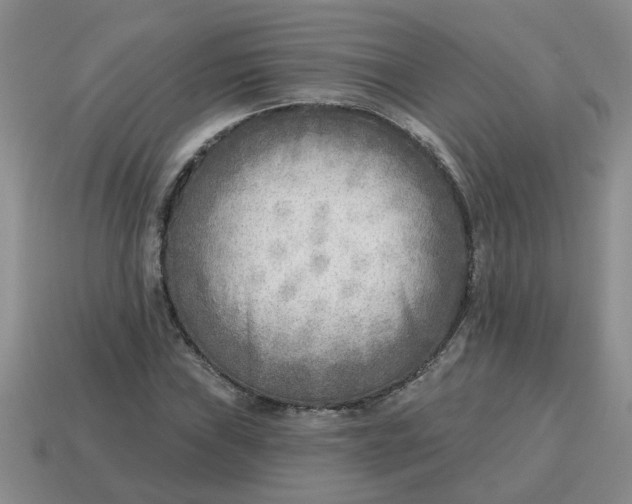 X0000114571019200911091211