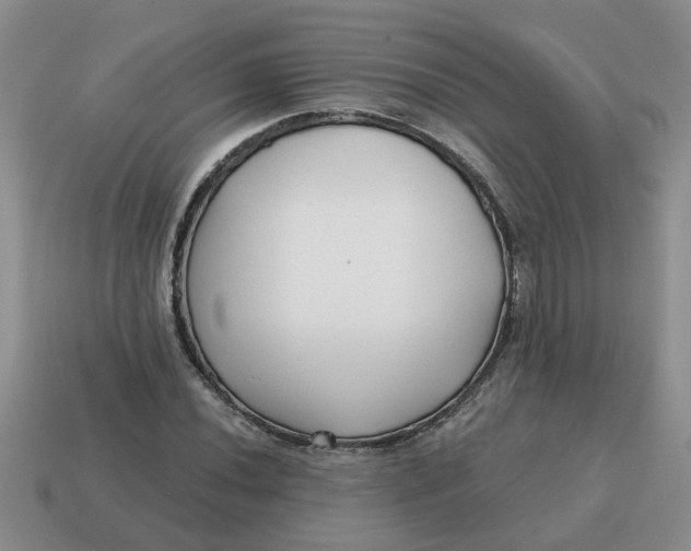 X0000114571020200911091211