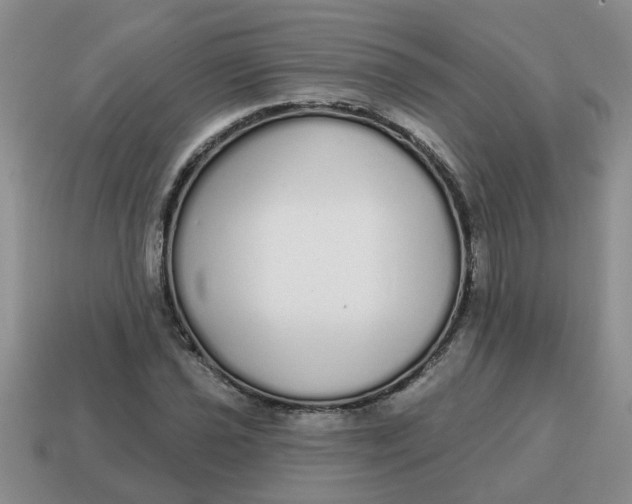 X0000114571021200911091211