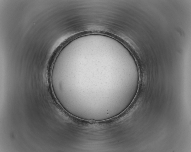 X0000114571022200911091211