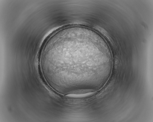 X0000114571024200911091211