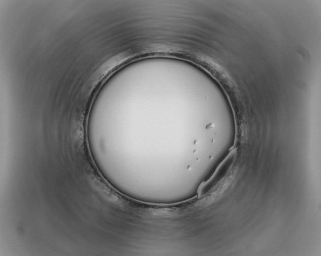 X0000114571025200911091211