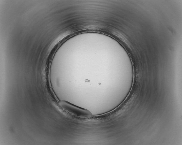 X0000114571026200911091211