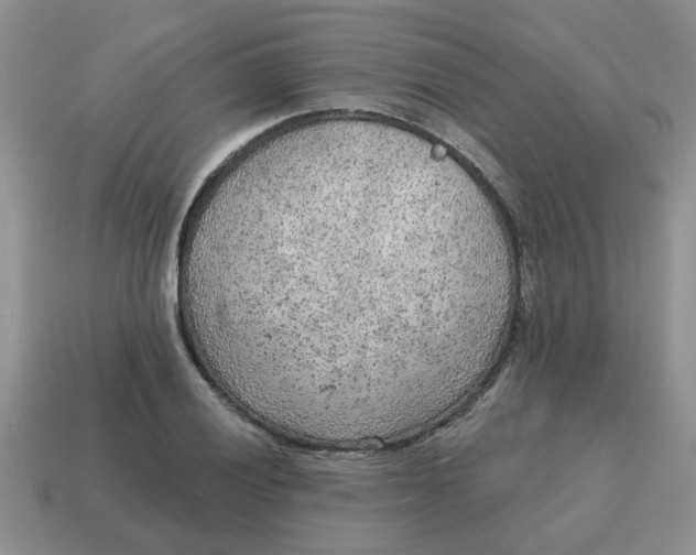 X0000114571028200911091211