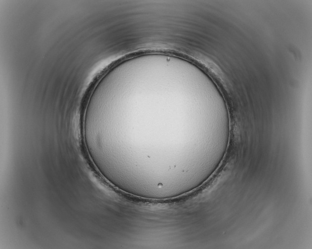 X0000114571030200911091211